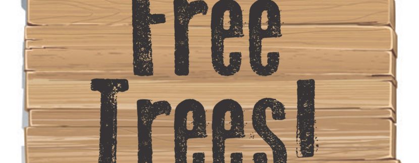 Free Tree Seedlings Available on April 1