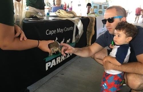 Zoo Animals To Visit Ocean City On 'Nature Fun-Day'