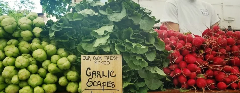 Ocean City Area Farmers Markets: Where To Find Fresh Goods Nearby
