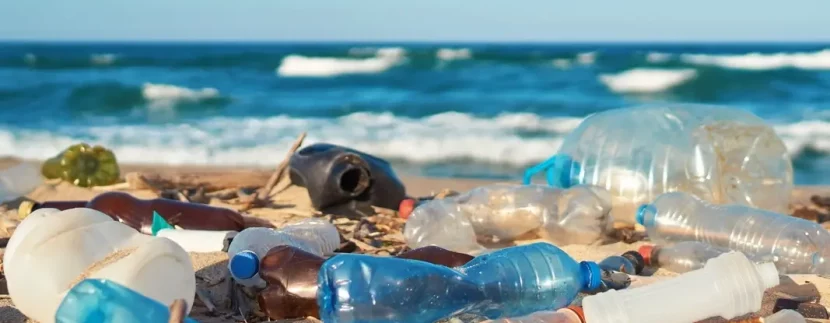Help Clean Up Beaches In Ocean City