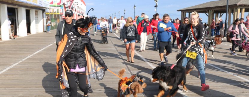 Howl-O-Ween Parade and Dog Day Return to Boardwalk on Saturday