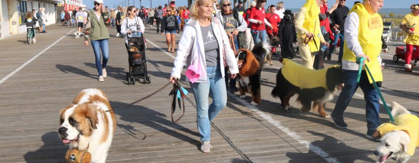 Ocean City Welcomes Dogs for Pet-Friendly Weekend Oct. 21-22