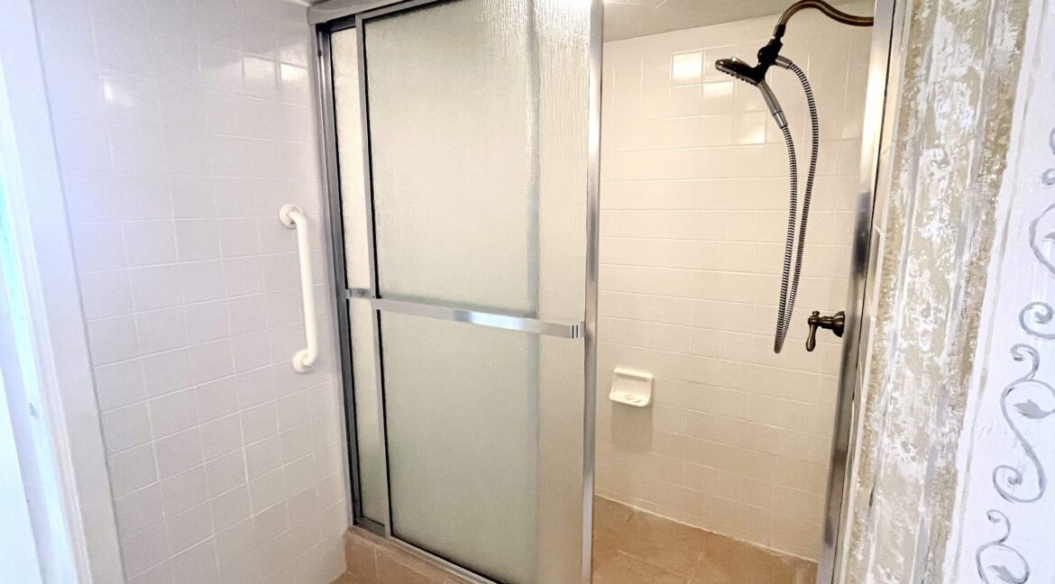 17 Primary Bath Shower